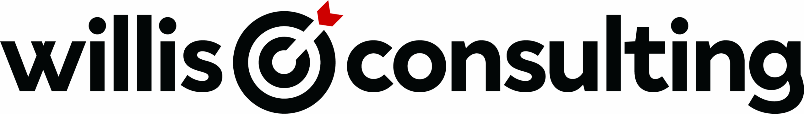Partner firm logo
